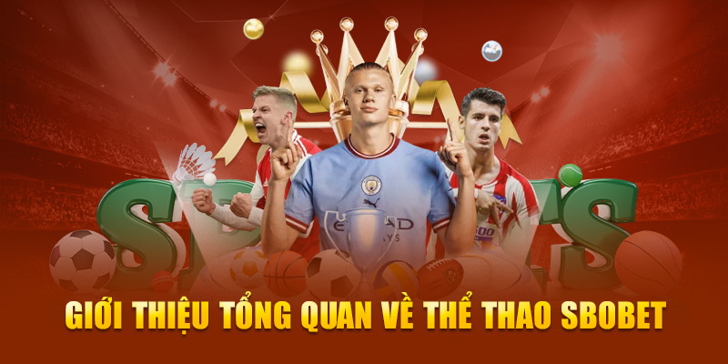Giới thiệu tổng quan về sảnh thể thao Sbobet